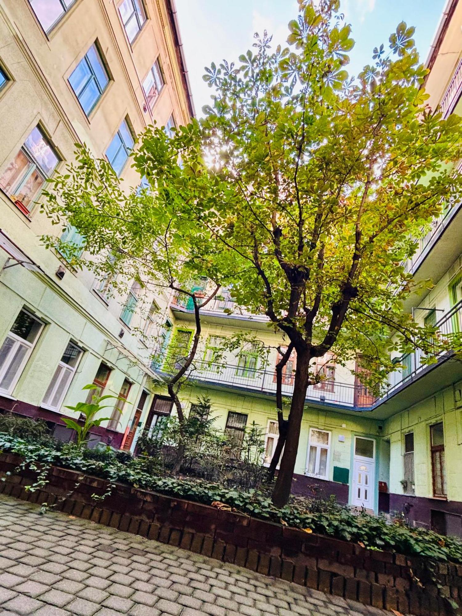 Ava Central Residence — Fotók 1